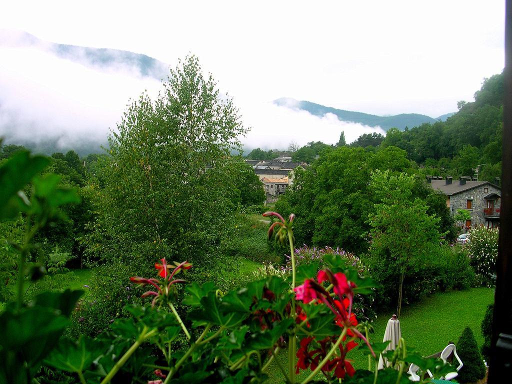 Hotel Vina Olivan Sarvisé Cameră foto